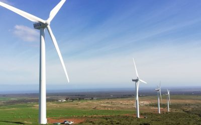 Preparation of as-builtprogrammes, 10 top tips