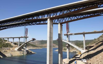 SCL Delay & Disruption Protocol